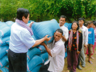 大洪水被害に対して稲の種を支援