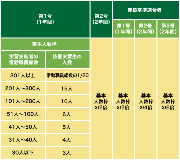 技能実習の人数枠