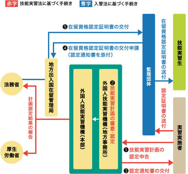 技能実習計画の認定と在留資格認定証明書の交付（団体監理型第1号技能実習のケース）
